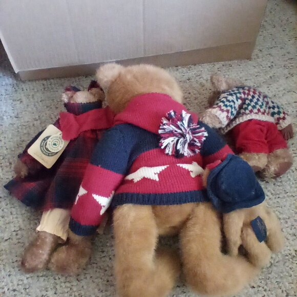 Boyd's bear - Picture 2 of 2